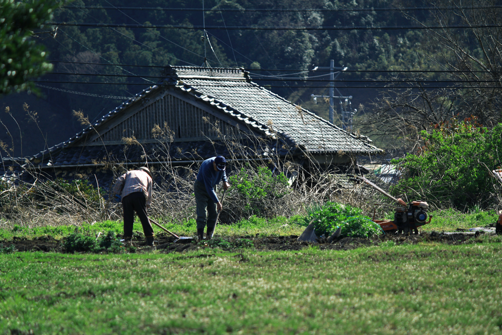 三重県津市の風景